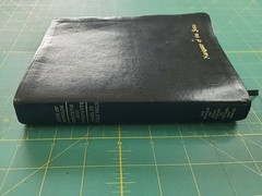 Book of Mormon / Doctrine and Covenants / Pearl of Great Price