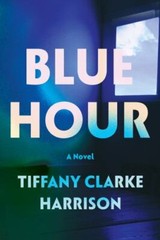 Blue Hour: A Novel paperback Used – Good