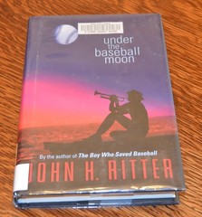 Under The Baseball Moon