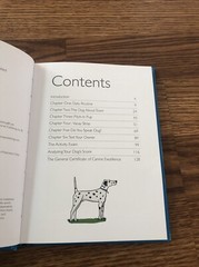 Test Your Dog’s IQ Genius Edition Rachel Federman 2016 Hardcover DJ NEW