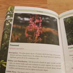 Complete Guide to Edible Plants Book Army Dept Medicine Poison Color Photos