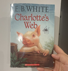 Set of 10 E. B. White Charlotte’s Web Paperback Novel Scholastic 2003