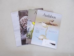 4 AUDUBON 2024 SPRING SUMMER FALL WINTER MAGAZINE