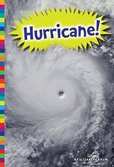 Amicus Ink 87687 Hurricane Natural Disasters