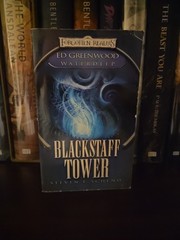 Forgotten Realms Blackstaff Tower Steven E. Schend Waterdeep TSR D&D