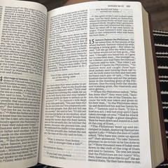 Large Print Catholic Bible, Revised Edition, Comfort Print, Leathersoft, Brown