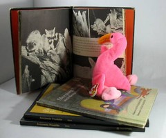 Lot 4 Decorative Decor Black Grey Mix Childrens HC Books Pink Flamingo Staging