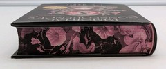 Immortal Consequences Hardcover I V Marie Brand New Unread