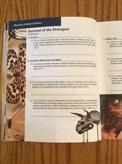 Washington D C Personal Interactive Guide Booklet 78 pages