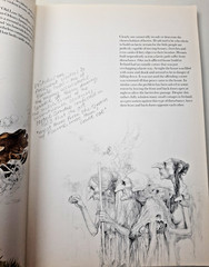 Vintage Faeries Book 1978 First Edition Printing Brian Froud Mythical Fairy Art