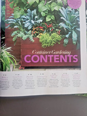 Container Gardening by BH&G – 100 Easy-Care Combos for Sun or Shade- Like A Pro