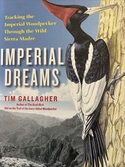 Imperial Dreams: Tracking the Imperial Woodpecker Through the Wild Sierra Madre