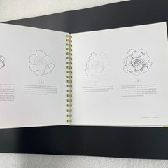 How to Draw Modern Florals by Alli Koch – Blue Star Press 2017 – HC Spiral Bound