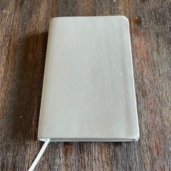 Fresh Start Bible Direction For Every Day Gray Leather New Living Translation