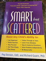 Smart but Scattered
