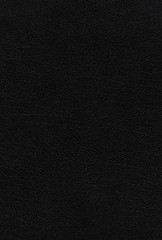 Dr. Frank Char KJV, Thompson Chain-Reference Bible, (Leather Bound) (UK IMPORT)