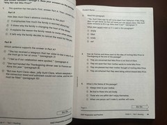 McGraw Hill Wonders Grade 4 Florida Test Preparation Practice~LOT OF 2