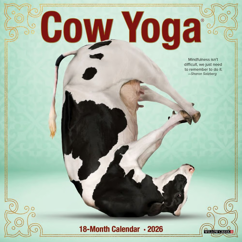 Willow Creek Press, Cow Yoga 2026 Mini Wall Calendar