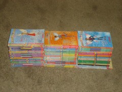 Lot 87 Rainbow Magic & Magic Animals Books Daisy Meadows Fairies