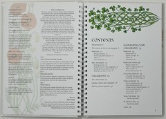 Three Celtic Calligraphy & Design Books – Search Press & CICO Books