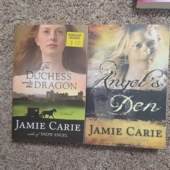 Romance Christian Fiction Paperback Book Lot