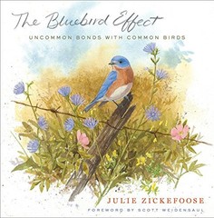 The Bluebird Effect: Uncommon Bonds with Common Birds by Zickefoose, Julie