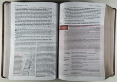 NIV Life Application Study Bible Large Print Brown Leathersoft 3rd Edition OOP