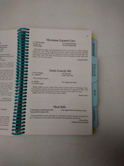 Lambda Delta Phi Sorority Alumni Cookbook St. Paul MN 2007