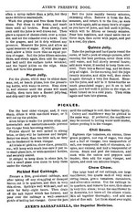 1893 Ayer’s Preserve Book Jelly Making 35 Pages