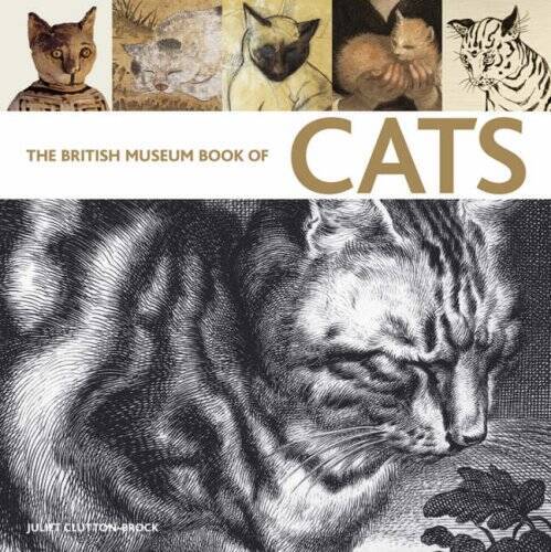 British Museum Book of Cats – Paperback By Juliet Clutton Brock – GOOD