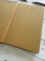 Essays of E.B. White 1977 First Edition 1st Printing Literary Essays HC DJ