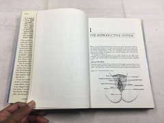 The New Birth-Control Book Howard I. Shapiro 1988 Health Guide Prentice Hall
