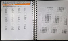 Brain Games – Extreme Word Search