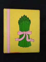 Vintage 1980 Edition Amarillo Junior League Cookbook 3-Ring Binder 330 Pages