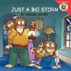 Little Critter: Just a Big Storm – Paperback By Mayer, Mercer – GOOD