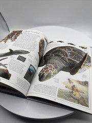 DK Eyewitness Ocean Hardcover Book Marine Life Science Nature 2004