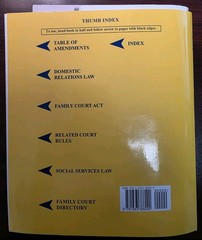 New York State Family Law Statutes (2025 Edition Yellowbook)