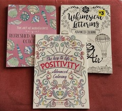 Lot 3 Mindfulness Beautiful Adult Coloring Books Whimsical Lettering Advanced