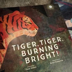 Nosy Crow Tiger, Tiger, Burning Bright! Hardcover (2017) Illus Britta Teckentrup