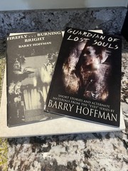 RARE Signed Ltd Ed Firefly Burning Bright Barry Hoffman & Guardian Of Lost Souls