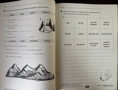 Harcourt School Publishers Moving into English : Student Practice Book Grade 4