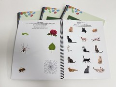Fun Logic & Learning Activities Workbook for Toddlers Ages 2–3