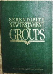 1987 Serendipity New Testament for Groups New International Version Zondervan