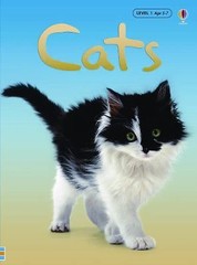 Cats; Usborne Beginners, Level 1 – hardcover, 9780794513948