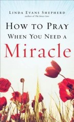 How to Pray When You Need a Mira- 9780800726850, Linda Evans Shepherd, paperback