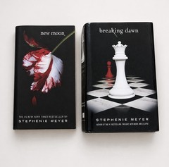 Stephenie Meyer Twilight Saga 2 Book Lot New Moon Breaking Dawn 1st Edition