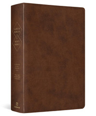 ESV Spanish/English Parallel Bible (La Santa Biblia RVR / the Holy Bible ESV, Tr