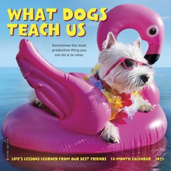 Willow Creek Press, What Dogs Teach Us 2027 Mini Wall Calendar