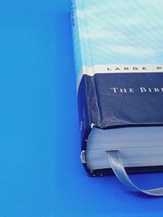Message Large Print, The by Peterson, Eugene H..