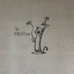 Bill Watterson Calvin and Hobbes Paperback 1987